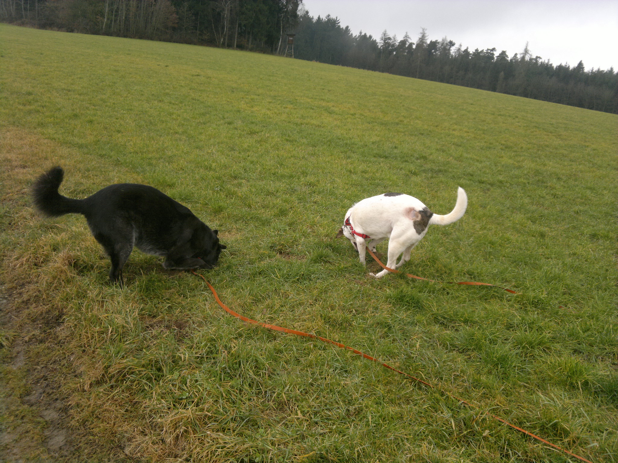 +oder im Team.jpg (2048 x 1536)